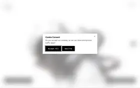 Neon Internet landing page preview